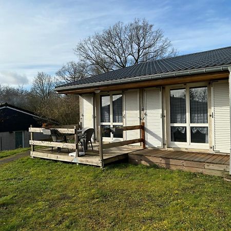 studio Albert avec terrasse a proximité de Metz Exterior foto